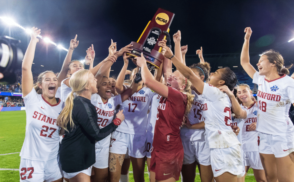 波维奇以培 波维奇以培