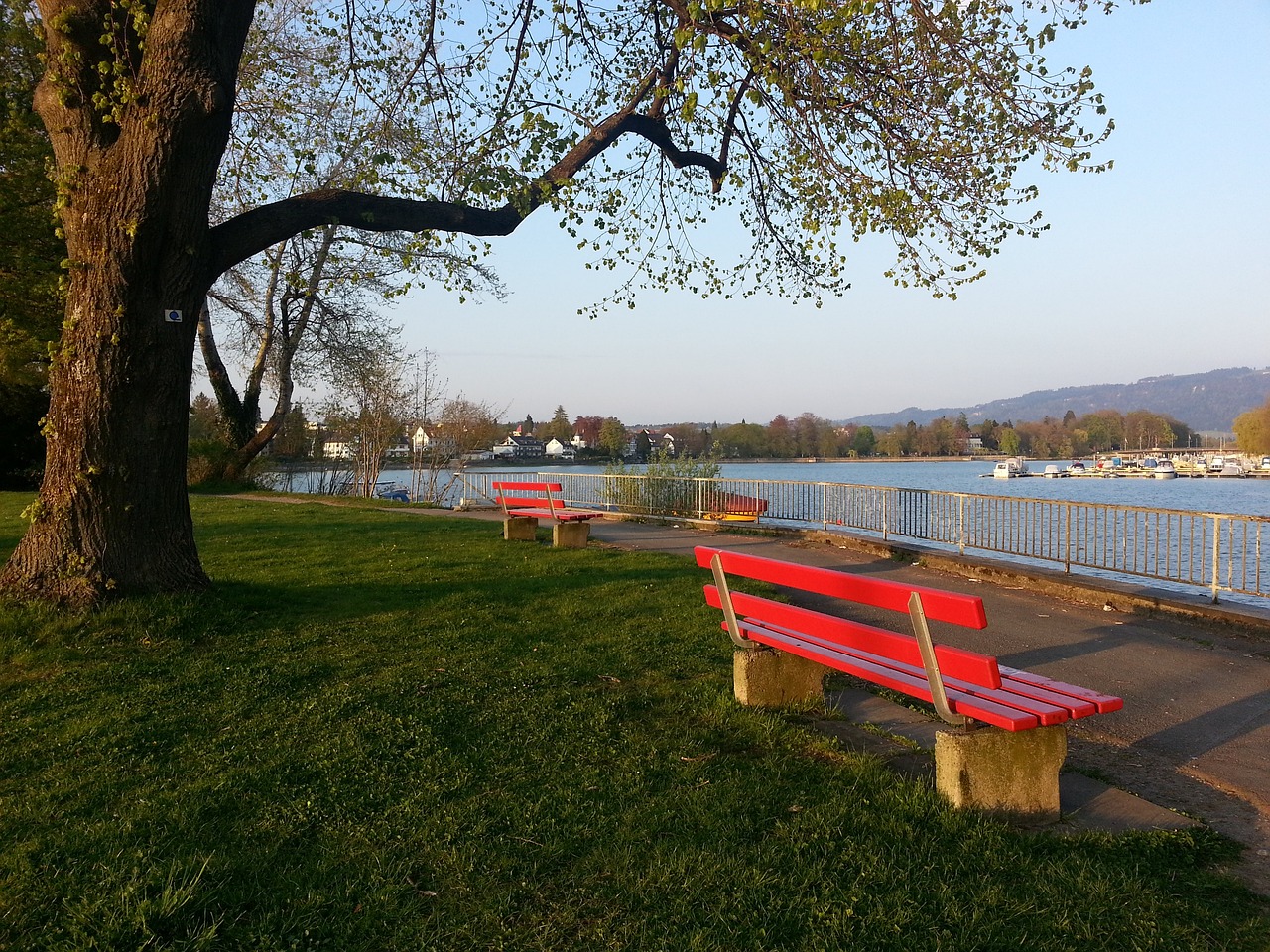 全面的球场 全面的球场