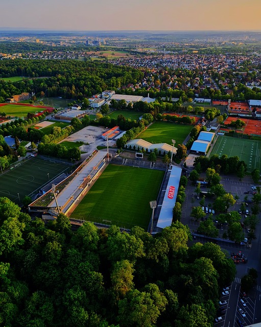 有效地实施 有效地实施